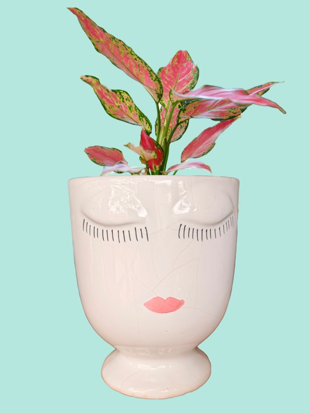 White Ceramic Face Planter